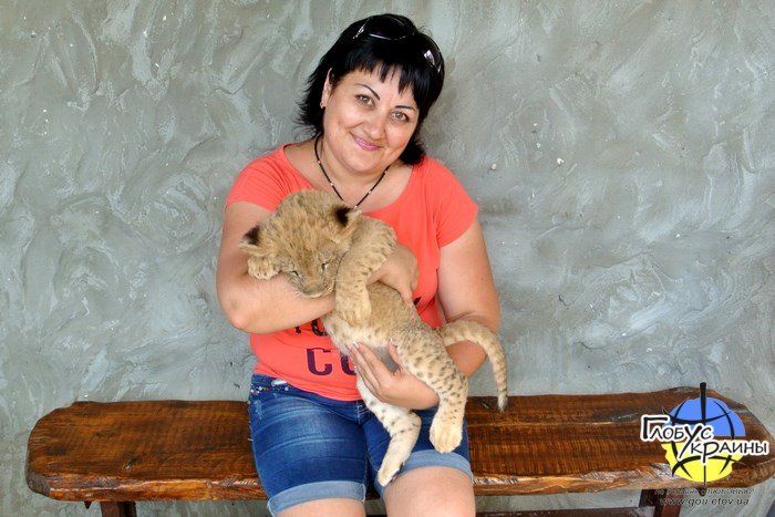 васильевка, зоопарк пылышенко, фото со львенком